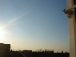 DSC04496.JPG
