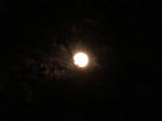 DSC04646.JPG