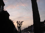 DSC04649.JPG