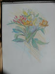 DSC04713.JPG