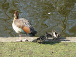 DSC04762.JPG