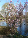 DSC04767.JPG
