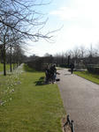 DSC04771.JPG
