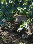 DSC04773.JPG