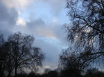 DSC04801.JPG