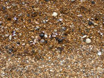 DSC04880.JPG