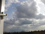 DSC04976.JPG