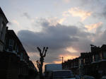 DSC04987.JPG