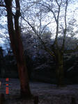 DSC05095.JPG