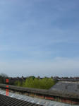 DSC05116.JPG