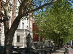 DSC05162.JPG