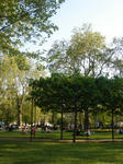 DSC05180.JPG