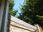 DSC06064.JPG