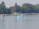 DSC06071.JPG