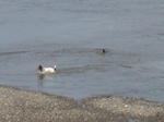DSC06093.JPG