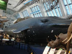 DSC06351.JPG