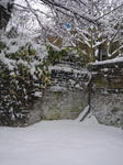 DSC06451.JPG