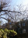 DSC06498.JPG
