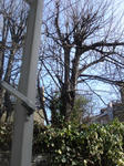 DSC06537.JPG