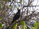 DSC06604.JPG