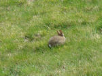 DSC06662.JPG