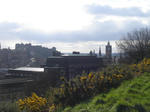 DSC06701.JPG