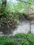 DSC06991.JPG
