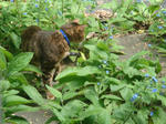DSC07005.JPG
