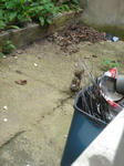 DSC07040.JPG