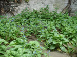DSC07047.JPG