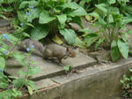 DSC07049.JPG