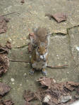 DSC07051.JPG