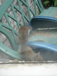 DSC07054.JPG