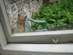 DSC07059.JPG