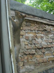 DSC07060.JPG
