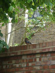 DSC07087.JPG