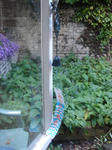 DSC07091.JPG