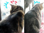 20080116bikubiku.jpg