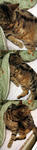 20070117b.jpg