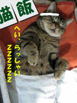 1200963364166.jpg