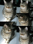 2008013101.jpg