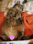 IMG_9642love.jpg