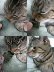 20080213.jpg