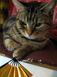 IMG_9887.jpg