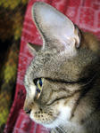 IMG_0893.jpg