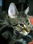 IMG_2880.jpg