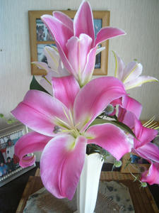 P1000599.JPG
