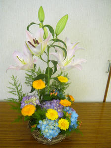 P1000612.JPG