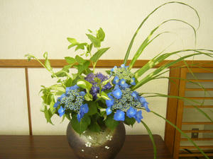 P1000614.JPG
