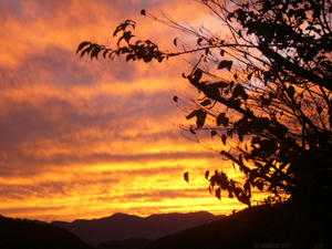 P1000720.JPG